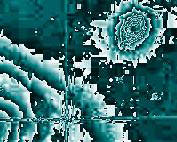 ”contour_plot”