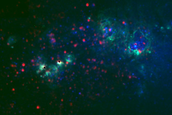 super_star_clusters_in_NGC_4214