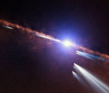 Imagen de Los cometas de la estrella Beta Pictoris