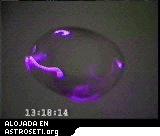 Video desde el transbordador STS-94.Deformación de una gota de agua usando ultrasonido