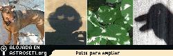 Lectores de Ciencia@NASA tomaron estas fotos de medias lunas durante el eclipse parcial de sol del 10 de junio de 2002
[<a href=http://science.nasa.gov/spaceweather/eclipses/gallery_10june02.html target=_blank><u>Ms informacin</u></a>]
