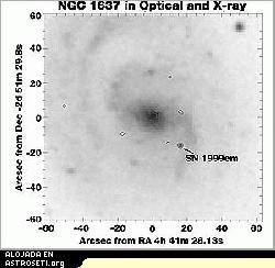 La supernova 1999em (las letras designan su posición dentro de los descubrimientos de ese año) aparece justo fuera del brazo espiral de la galaxia NGC 1637. Debido a que la galaxia no es muy luminosa en rayos-X, los contornos de la observación en rayos-X están sobrepuestos en un negativo de la imagen de la galaxia. Link a la imagen en <a href=http://science.nasa.gov/newhome/headlines/images/1999em/199em-obs1.jpg target=_blank><u>2250x2045-pixeles, 195kb JPG.</u></a>
<i>Crédito: NASA y Chandra Science Center.</i>