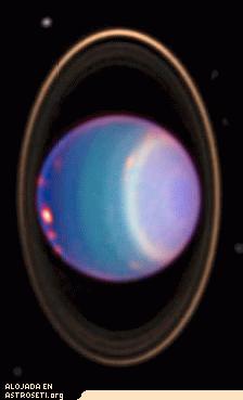 En agosto pasado el Telescopio Espacial Hubble captó esta imagen de Urano en frecuencia próxima al infrarrojo. Análisis recientes indican que las nubes, vistas aquí de color naranja parecen rodear a Urano a una velocidades superiores a los 500 kilómetros por hora. Comparaciones con antiguas fotografías muestran una pequeña variación en la precesión de los brillantes anillos de Urano