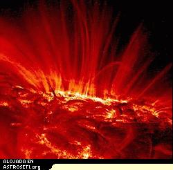 Esta imagen en ultravioleta de una mancha solar tomada por la aeronave TRACE de la NASA revela el complicado campo magntico de la regin.  
[<a href= http://antwrp.gsfc.nasa.gov/apod/ap041010.html target=_blank><u>Ms informacin</u></a>]
