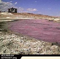 Cerca de la costa del lago Owens, California. La coloración rosa está causada por bacterias halofílicas (atraídas por la sal) viviendo en una fina capa de lodo en la superficie del lecho del lago. El material blanco brillante en primer plano es sosa (carbonato sódico), depositada como resultado de la evaporación de las charcas de la fábrica de Plate Glass de Pittsburgh que se ve al fondo. La fábrica de vidrio plano ya no está en funcionamiento. <a href=http://science.nasa.gov/newhome/headlines/msad17sep98_1.htm target=_blank>Historia relacionada</a> y <a href=http://science.nasa.gov/newhome/headlines/lms/owenslake.htm target=_blank>más imágenes de las halobacterias en el lago Owens</a>.