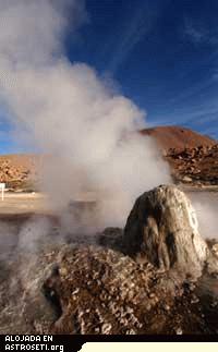 Geyser Tatio, Chile
Como se presenta, <i>Thermus aquaticus</i> es sólo medianamente resistente en cuanto a soportar calor. Un hiper-termófilo, <i>Pyrolobus fumarii</i>, puede pasearse en agua a 113º C. Esto no solamente es por encima del punto de ebullición, sino que hasta reblandecería las tapicerías de un todo terreno. Otros extremófilos funcionan suavemente en fríos por debajo del punto de congelación (psicrófilos), en soluciones altamente ácidas o alcalinas (acidófilos y alcalófilos), salinas súper concentradas (halófilos) y en circunstancias demoledoras de alta presión o en zonas áridas y polvorientas (barófilos y xerófilos) Existen variedades que pueden ignorar la radiación nuclear o combinar bien con el combustible de los aviones.
Con toda franqueza, los extremófilos deberían de ser reclutados por el equipo local del SWAT, claro, si fuesen lo suficientemente grandes como para cargar armas.
<i>Imagen: Seth Shostak</i>