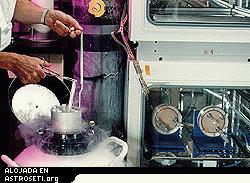 El doctor Robert Richmond de la NASA / Marshall retira muestras de tejido mamario de la cmara frigorfica de uno de los dos contenedores de nitrgeno lquido que mantienen esta coleccin nica.