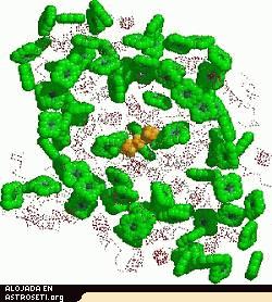 el complejo mapa de las posiciones atómicas de una molécula de Photosystem I, del Brookhaven National Laboratory Protein Databank (Banco de Datos de Proteínas del Laboratorio Nacional de Brookhaven), y del Image Library of Biological Macromolecules (Libreria de imagenes de Macromoléculas Biológicas), Jena, Alemania.