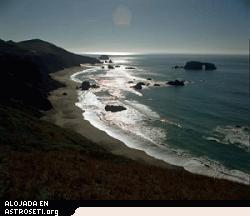 Las algas de los océanos de la Tierra Primigenia transformaron la atmósfera. Créditos de la foto: Department of Energy, David Parsons.