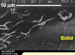 Una fotografa microscpica de arena lunar fundido con microondas [<a href="http://www.lpi.usra.edu/lunar_knowledge/LTaylor.pdf">Ms</A>]