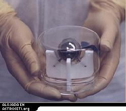 Uno de los giroscopios esfricos de la Gravity Probe B. 
[<a href= http://ciencia.nasa.gov/headlines/y2004/26apr_gpbtech.htm target=_blank >Ms informacin</a>]
