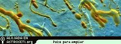 Pinche <a href=http://www.planetary.org/image/themis_lavachannels.jpg>aqu</a> para agrandar
