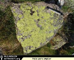 Lquen creciendo en una roca. Cmo podra un explorador robtico reconocer tales formas de vida mientras explora otros mundos?
