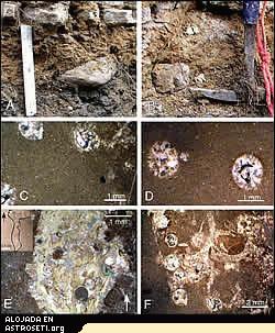 A, B: Los clastos del conglomerado basal contienen esférulas del impacto de Chicxulub. C, D: esférulas en clastos calcáreos. E, F: esférulas en grietas de clastos calcáreos. E: grietas bordeadas por calcita espática. La fisura presenta morfología de grieta y una longitud total de aproximadamente 2cm. F: clasto con grietas rellenas de esférulas y de calcita espática, truncadas por la erosión y seguido de sedimentación normal. Estos clastos muestran una historia de los materiales eyectados por Chicxulub y su litificación anterior a la exposición a la erosión, al transporte y a la resedimentación en la base del depósito.
Creditos: GSA