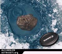 El anlisis inicial mostr que el meteorito del lago Tagish era un tipo de condrita carbonosa - una rara clase de meteoritos parecidos al carbn, ricos orgnicamente.
Crdito: UWO / Universidad de Calgary