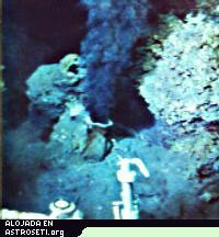 Ventilas hidrotermales en las profundidades de los mares dan lugar a bioquímica exótica. Teniendo lugar, con frecuencia, a grandes profundidades, temperaturas de agua hirviendo y alta concentración de metano. A menudo observadas como posible alternativa a la vida de agua-oxígeno