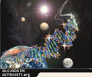 Toda la vida en la Tierra (al menos, la que conocemos) tiene una química parecida, basada en el ADN.
Crédito: NASA