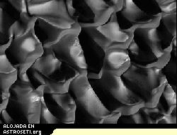 El MRO captur esta detallada imagen de dunas en el crter Proctor, localizado en el hemisferio sur de Marte. Los cientficos creen que los tonos brillantes son dixido de carbono o hielo de agua.
Crdito: NASA/Laboratorio de Propulsin a Chorro/Universidad de Arizona
