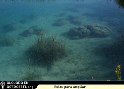 Estromatolitos en una laguna de Cuatro Cinagas, Mxico. <a href="http://66.240.198.75/albums/extremes/adl.sized.jpg" target="_blank">aqu</a> para ampliarla.
Crdito: Tommy Lavergne de la Rice University, en Houston, Texas