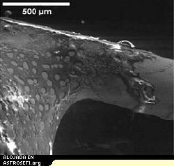 <i>Exploracin electro microgrfica de soldadura solidificada en un cable. El ngulo preciso en el cual la soldadura se junta con el cable est controlada por fuerzas tales como la tensin, gravedad y humedad del alambre. Eliminando los efectos de la gravedad  permite a los cientficos entender de una manera mejor las otras influencias. Imagen cortesa de la NASA. <a href= http://science.nasa.gov/headlines/y2003/images/soldering/angle.jpg target=_blank> [Hi res version] </a></i>
