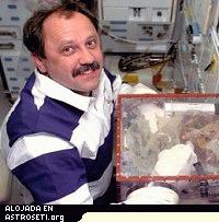 El Cosmonauta Yury V. Usachev trabajando con un globebox mas antiguo y pequeño que el MSG a bordo del trasbordador espacial Atlantis.