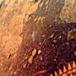 Primer plano de Venus, tal como fue fotografiado por el aterrizados soviético Venera 13, que descendió en paracaídas a la superficie venusina el 1 de marzo de 1982.
Crédito: Venera