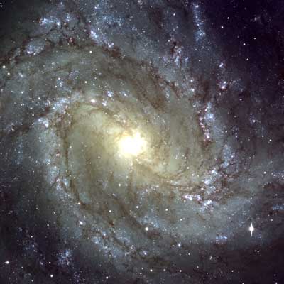 M83