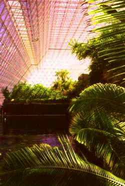 Vista interior del techo de cristal y los biomas de Biosfera 2.
Crédito: Biosfera