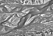 En el lmite P-T, los ros pasaron de mendricos a confinados, indicando una prdida catastrfica de plantas terrestres
Crdito por la imagen: University of Birmingham, UK