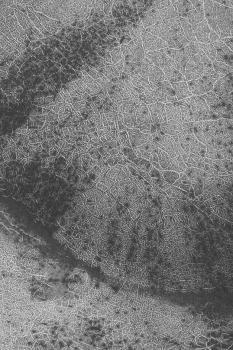 Mapa de una “Ciudad Marciana” del MGS publicación No. MOC2-742, del 30 de Mayo 2004
Crédito de la Imagen: Mars Global Surveyor, Malin Space Systems