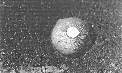 Espora circular de una bacteria consumidora de sulfuro. La imagen muestra las formas de caña de la Desulfotomaculum en su esporulación, formas libres y agua rica en sulfato.
Créditos de la Imagen: Mazák Károly, sulinet.hu
