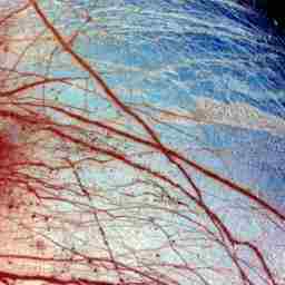 Primer plano en alta resolución de la fracturada superficie de Europa, con las venas, capilares vermellon que intrigan a geólogos y a astrobiólogos. Mostradas en falso color, las imágenes de Europa resaltan el hielo grueso en azul y las fracturas ricas en minerales en rojo y marrón. El hielo azul es la capa más antigua de agua casi pura congelada. El hemisferio norte en particular está teñido de marrón con depósitos minerales como sulfato de magnesio (sales de Epsom) contaminando el hielo. Sir Arthur C. Clarke escribió el siguiente famoso y enigmático pasaje en su novela <em>2010: Odisea 2</em>: "Todos estos mundos son vuestros, excepto Europa. No intenteis aterrizar allí".
Crédito; NASA/Galileo
