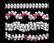 Ejemplos de estructuras típicas de polimeros. Crédito: Molecular Universe