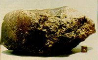 El meteorito ALH84001 ha renovado el inters por la bsqueda de vida extraterrestre. Crdito: NASA