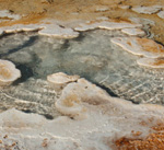 Fuente termal en “Angel Terrace”, “Mammoth Hot Springs”, en el Parque Nacional de Yellowstone. La temperatura máxima de la fuente termal es de aproximadamente 74 grados.
Foto cortesía de Jack Farmer