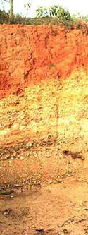 Las lateritas son capas de suelo coloreadas de rojo por las altas concentraciones de hierro. Este ejemplo es de Brasil, e ilustra los remanentes geológicos de la antigua acción microbiana. Crédito: Univ. de Colorado/Joe Smyth.
