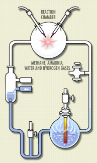 El experimento Miller-Urey generó chispas eléctricas (para emular a los relámpagos) en una mezcla de gases que se pensaba recordaban a la atmósfera primitiva de la Tierra.
Crédito: AccessExcellence.org