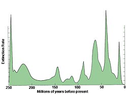 Un diagrama de los datos sobre las extinciones masivas. Los dinosaurios sobrevivieron a la extincin masiva que tuvo lugar hace unos 200 millones de aos.
Crdito: Universidad de Chicago