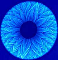 Nanoflores de carburo de silicio, sintetizadas con anchuras menores que la de un cabello humano. La imagen de cabecera es la de un nanoavin, como ejemplo de un novedoso tipo de nanoestructura autoensamblada (nanoaeroplanos, nanopeines y redes similares a tetrpodos hechas de xido de zinc) mediante una tcnica simple de evaporacin trmica en un horno de una sola etapa. <i>Crdito de la imagen: IOP/Wei Ho (Flores) y Aeroplanos (Liu)</i>