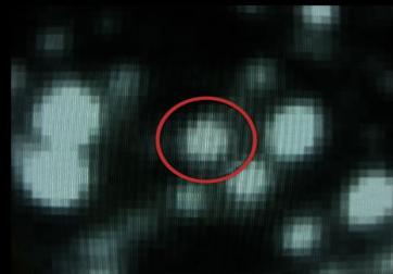 Datos de imagen en bruto usada para descubrir un nuevo planeta. Crédito: Bond.