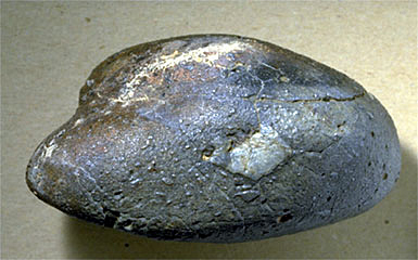 Así lucía el meteorito SaU 169 cuando sus descubridores lo inspeccionaron inicialmente en el laboratorio. Su dimensión máxima es de 7 centímetros.
Crédito: Peter Vollenweider