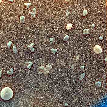 Imagen microscpica del suelo de Meridiani en rojo-verde-azul. La imagen del banner muestra los colores naturales. Crdito: NASA/JPL