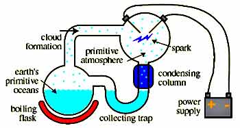 El sistema experimental de la clsica sopa primordial de Stanley Miller, con un ocano simulado, relmpagos, y un caldo de hidrgeno, metano, amonaco y agua.
