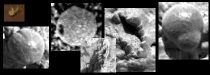 Las pequeñas esferas, los arándanos y los nombramientos han llegado a ser importantes para desvelar el paisaje alienígena.
Crédito imagen: NASA/JPL