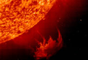 Clic <a href=http://www.astrobio.net/articles/images/sun_lg.jpg target=_blank>aquí</a> para agrandar la imagen. El Sol, una enana típica G2V. Las estrellas G se caracterizan por la presencia de líneas metálicas e hidrógeno débil.
Crédito: Harvard University