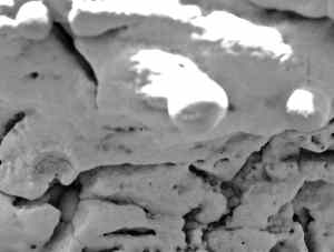 ¿Qué fue primero, la cavidad o la esférula? En la parte inferior izquierda, una esférula, o grano en forma de esfera, puede ser visto al penetrar en el interior de una pequeña oquedad llamada cavidad. Este relación "simultánea" permite establecer la datación relativa de los eventos. En este caso, la esférula parece "invadir" la cavidad, y por ello probablemente es posterior a esta. Esto sugiere que las esférulas han debido ser una de las últimas formaciones en aparecer dentro del afloramiento.
<i>Crédito de la Imagen: NASA/JPL/ Cornell/US</i> Geological Survey