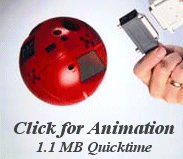 Haga clic <A HREF= http://science.nasa.gov/headlines/images/PSA/psa4.mov>aquí</A> para una animación de 1,1 MB del PSA en QuickTime.