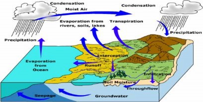 El ciclo hidrolgico, o ciclo del agua, es la suma de los movimientos del agua a travs de los sistemas de la tierra. Como el agua puede llevar calor almacenado, es tambin un ciclo de la energa. Grfico cortesa de Michael Ritter. Universidad de Wisconsin en Stevens Point. <A HREF= http://www.uwsp.edu/geo/faculty/ritter/geog101/modules/hydrosphere/hydrologic_cycle.html>[ms informacin]</A>
