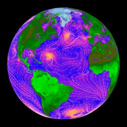 Una imagen de la velocidad y direccin de los vientos de superficie ocenica tomados por QuikScat. Rosa y amarillo representan velocidades de viento altas, y prpura y azul representan vientos ms lentos. Las lneas blancas y flechas indican la direccin. Cortesa JPL. <A HREF= http://photojournal-b.jpl.nasa.gov/cgi-bin/PIAGenCatalogPage.pl?PIA02458 target=_blank>[ms informacin]</A>