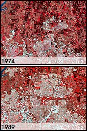 Las ciudades y las reas suburbanas  estn creciendo rpidamente, tal y como se muestran en estas dos imgenes de Plano, cerca de Dallas, Texas. (Imgenes cortesa de USGS Earthshots)